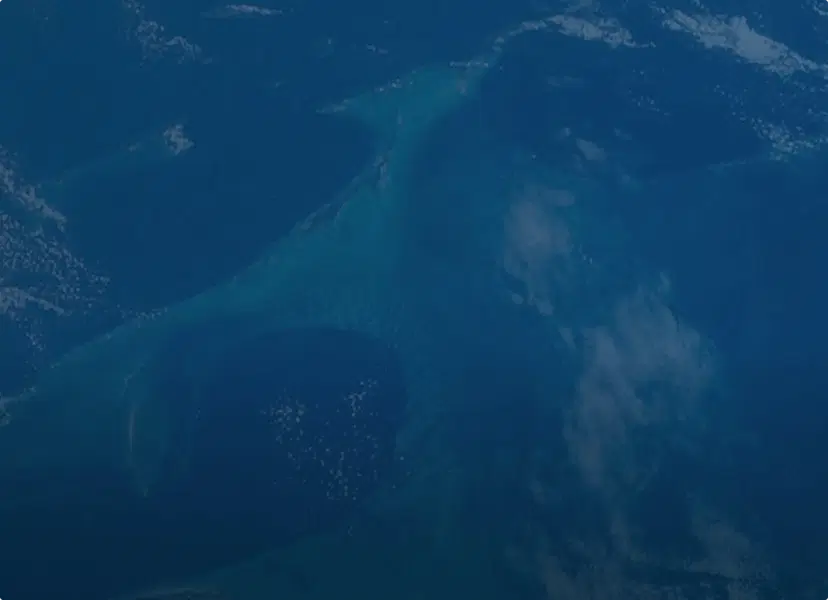 Global Sea Level Change Portal