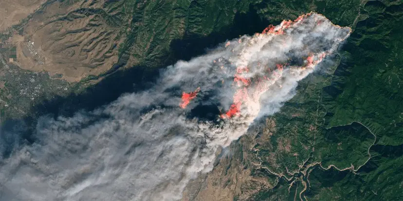 Wildfires theme image